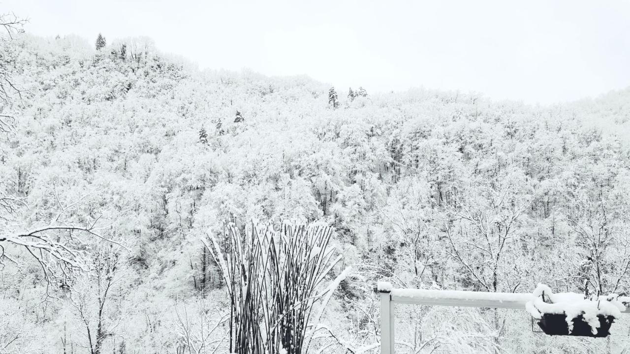 Skymist Maison D'Hotes Biert ภายนอก รูปภาพ