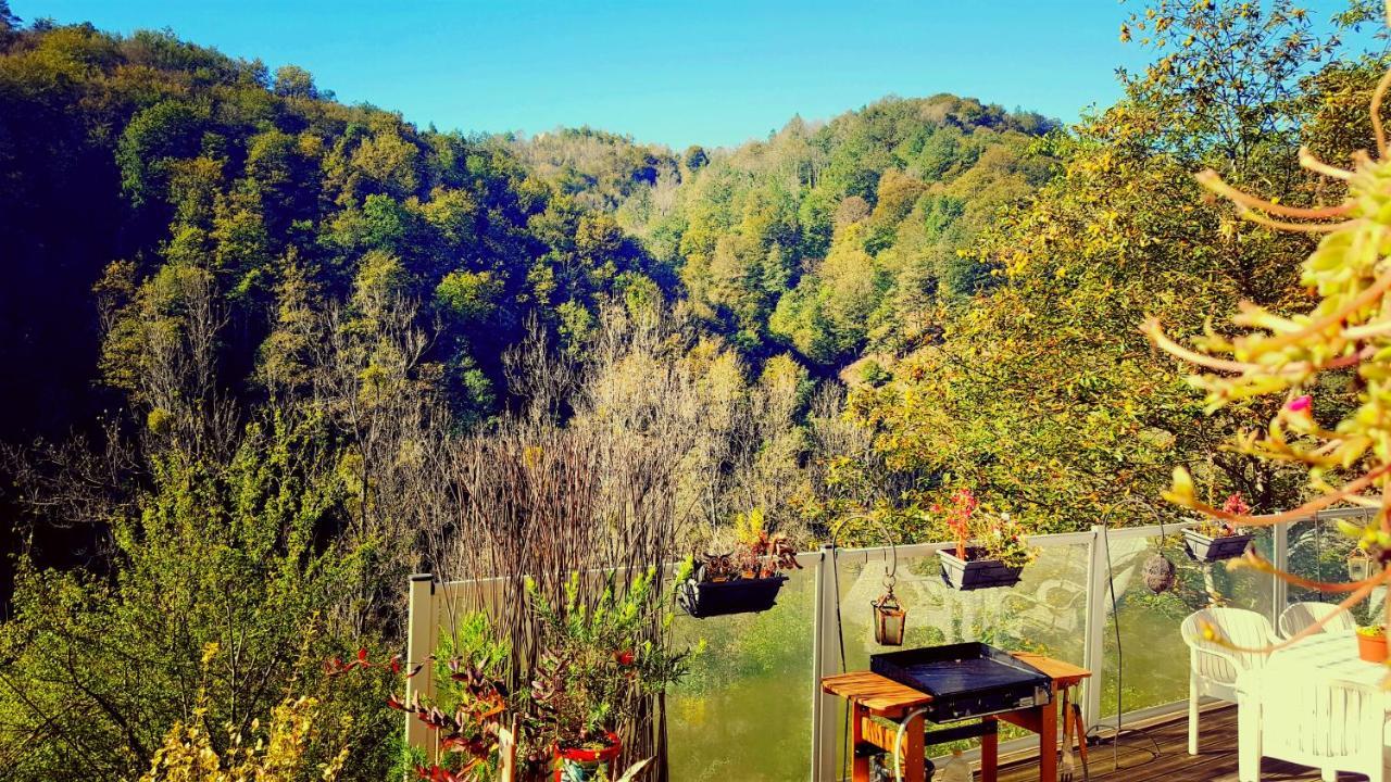 Skymist Maison D'Hotes Biert ภายนอก รูปภาพ